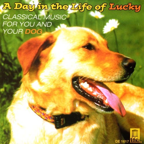 Day In The Life Of Lucky: Classical For Dog, Var, Carol Rosenberger, Elmar Oliveira, Gerard Schwarz, JANOS STARKER, Leonidas Kavakos, Norman Smith, P Ter Nagy, Péter Nagy, Wendy Herner Lucas Day In The Life Of Lucky: Classical For Dog / Var CD Day In The Life Of Lucky: Classical For Dog, Var, Carol Rosenberger, Elmar Oliveira, Gerard Schwarz, JANOS STARKER, Leonidas Kavakos, Norman Smith, P Ter Nagy, Péter Nagy, Wendy Herner Lucas Day In The Life Of Lucky: Classical For Dog / Var CD