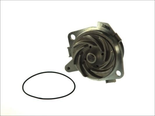 THERMOTEC D1D018TT Vannpumpe