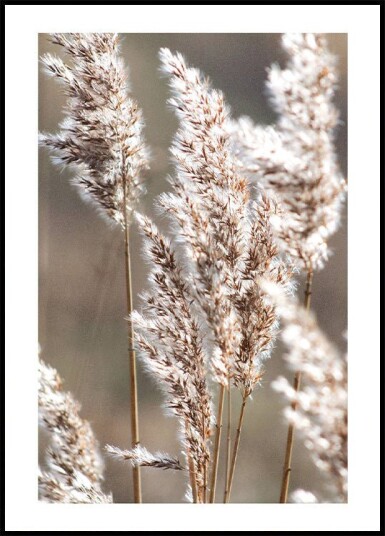 Autumn Meadow Plakat Plakat / 100x150cm Autumn Meadow Plakat Plakat / 100x150cm