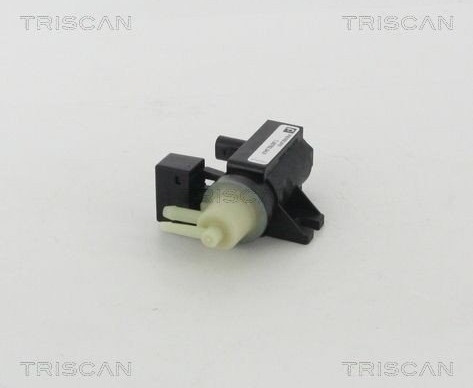 EGR ventil TRISCAN 8813 23206