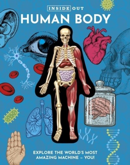 Inside Out Human Body