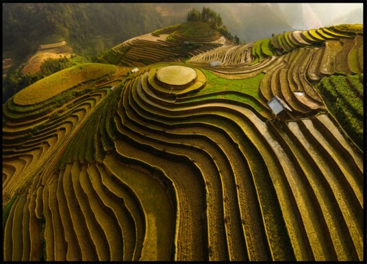 Golden Terraced Mountains Plakat / 21x30 Golden Terraced Mountains Plakat / 21x30