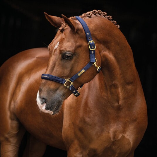 Hansbo Sport halter Equestrian Life navy P (Cob) Hansbo Sport halter Equestrian Life navy P (Cob)