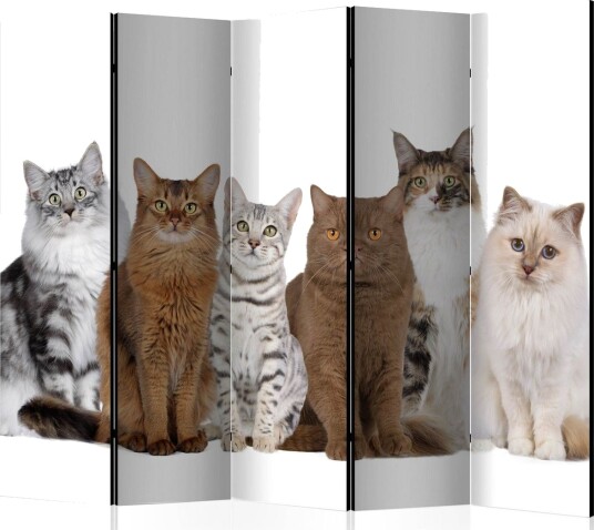 Romdeler Sweet Cats 225x172 - Artgeist sp. z o. o.