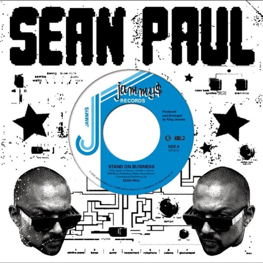 Sean Paul Stand On Business Vinyl