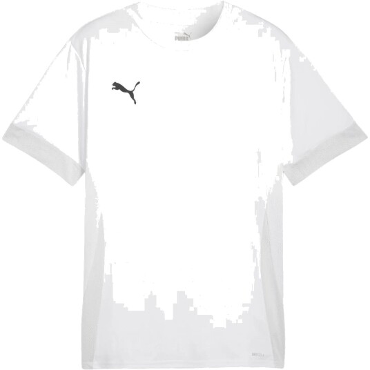PUMA teamGOAL Matchday Trenings T-skjorte Hvit 2XL