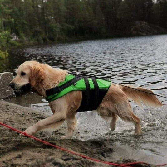 Rukka Flytevest til Hund XLarge - Grønn Redningsvest med Refleksdetaljer