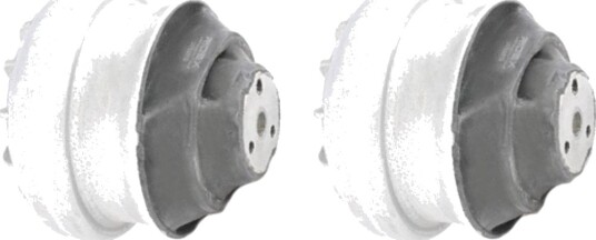 RIDEX 247E0975 Motorfeste