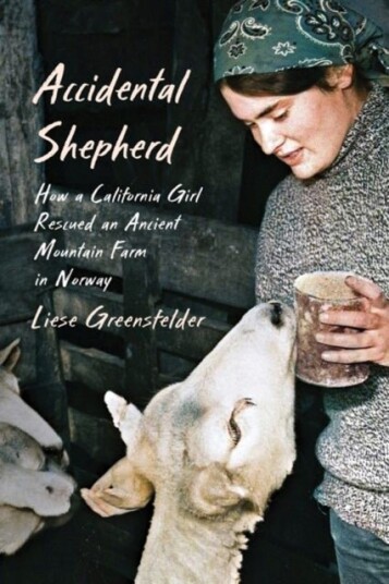 Accidental Shepherd Accidental Shepherd