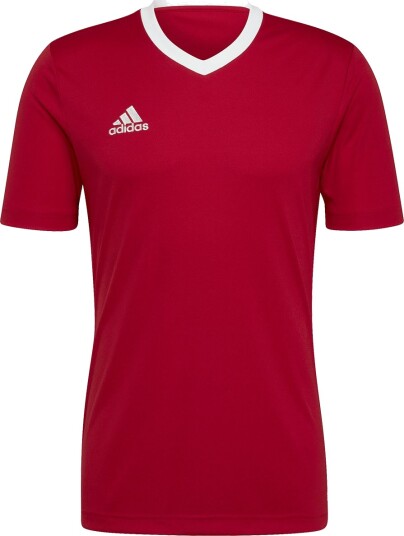adidas Entrada 22 Trenings T skjorte Rød 3XL