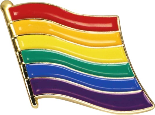 Netshirt Pin Pride Flagget PINPRIDE