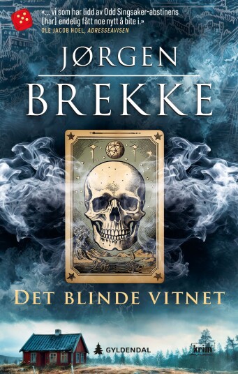Det blinde vitnet Det blinde vitnet