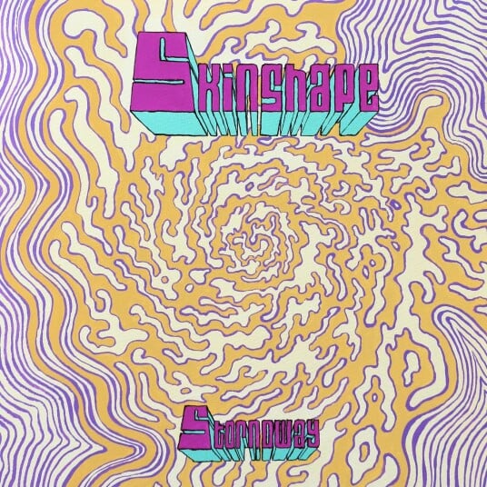 Skinshape Stornoway / Can You Play Me A Song? LP/Vinyl