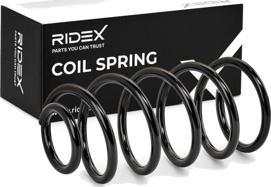 RIDEX 188C0422 Fjær