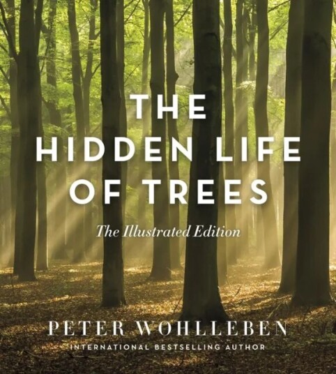 The Hidden Life Of Trees Av Peter Wohlleben