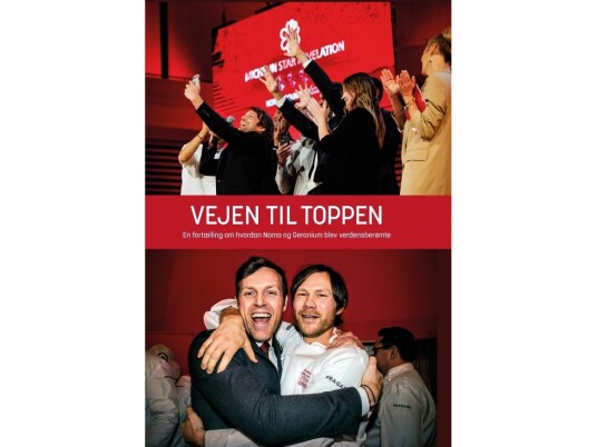 Vejen Til Toppen | Ole Troelsø | Språk: Dansk