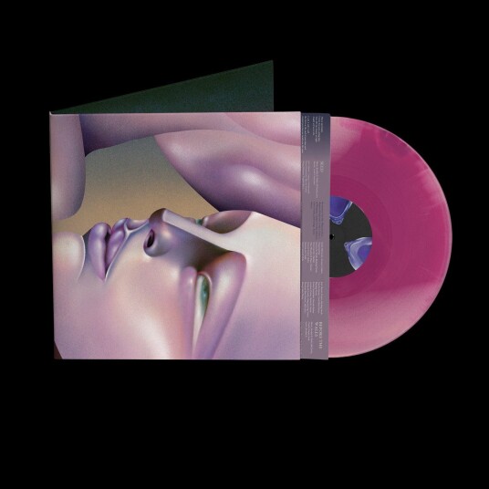 Walt Disco The Warping LP/Vinyl Walt Disco The Warping LP/Vinyl
