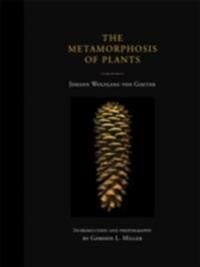 The Metamorphosis Of Plants Av Johann Wolfgang Von Goethe