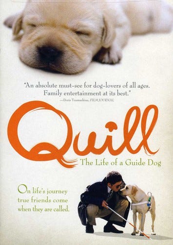 Quill DVD Quill DVD