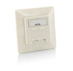 Utstyr 125772 Rj-45 6A Hvid 80 Mm 38,2 Mm 80 Mm