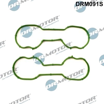 Pakkningssett innsugningsmanifold Dr.Motor Automotive DRM091S