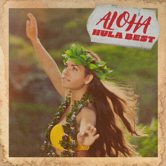 Diverse Artister Aloha Hula Best CD