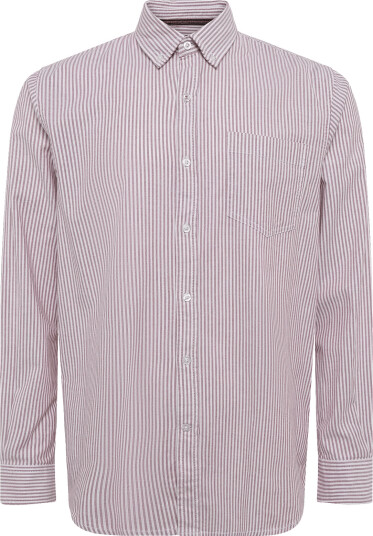 Signal | Scottsi Oxford | XXL Signal | Scottsi Oxford | XXL