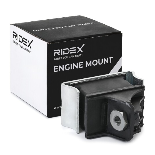 Motorfeste RIDEX 247E0673