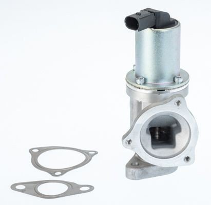 EGR Ventil WAHLER 711031D