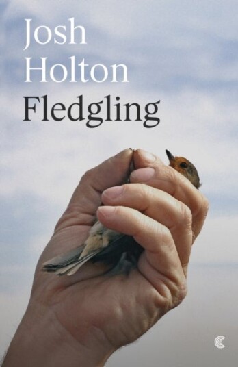 Fledgling Fledgling