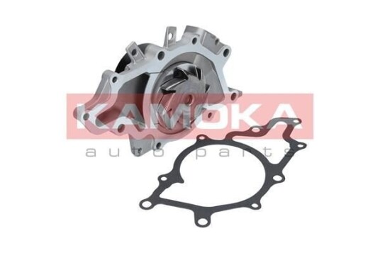 Vannpumpe KAMOKA T0168