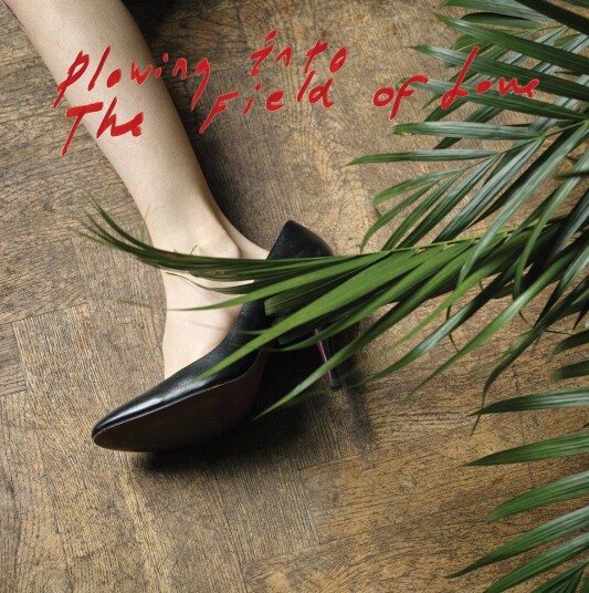 Iceage Plowing Into The Field Of Love CD Iceage Plowing Into The Field Of Love CD