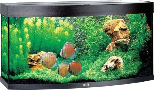 Juwel Vision 260 LED Akvarium Svart