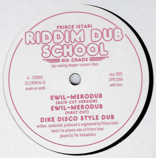 Riddim Dub School 8th Grade