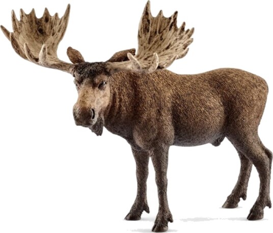 Schleich Elgokse Figur i Plast, Dyr Tema