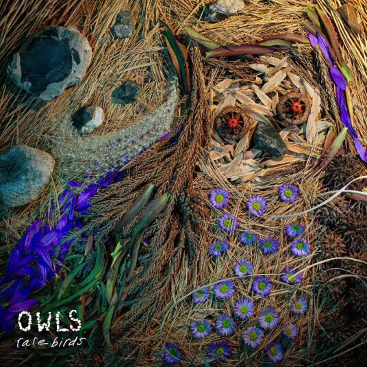 Rare Birds Vinyl