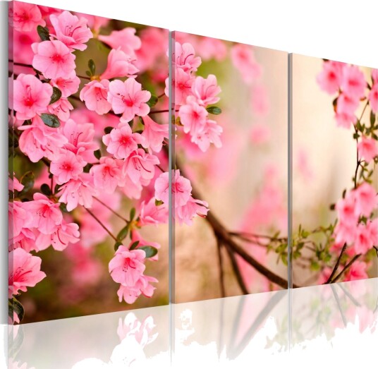 Bilde Cherry Flower 60x40 Artgeist sp. z o. o.