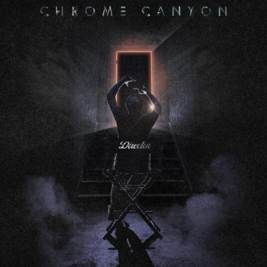 Director Vinyl Director Vinyl