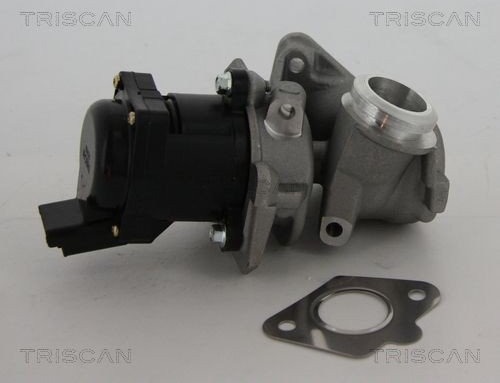 EGR-ventil TRISCAN 8813 10010