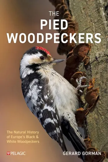 The Pied Woodpeckers The Pied Woodpeckers