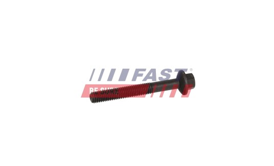 Skrue, innsprøytningsdyseholder FAST FT12956