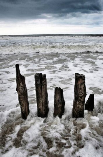 Malerifabrikken Poster High tide 1713355-01-48