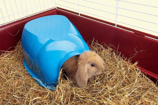 Savic Kaninshus Cocoon