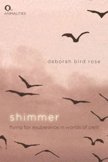 Shimmer Av Deborah Bird Rose