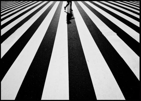 Walking on Stripes Plakat / 100x150