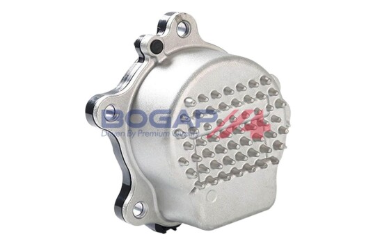 BOGAP T4232103 Vannpumpe