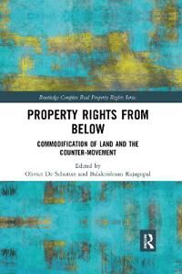 De Schutter Olivier Property Rights from Below