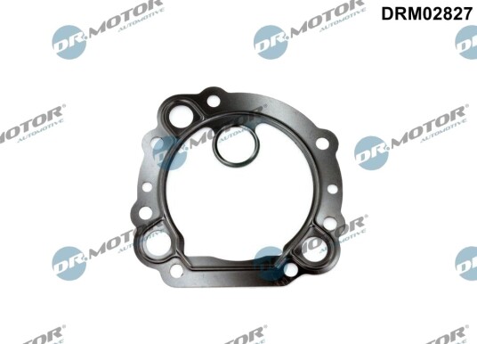 Tetning EGR ventil DR.MOTOR AUTOMOTIVE DRM02827