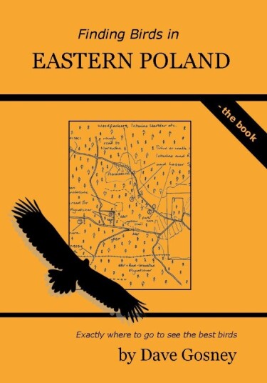 Finding Birds in Eastern Poland Finding Birds in Eastern Poland