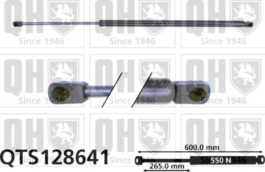 QUINTON HAZELL QTS128641 Baklukedemper